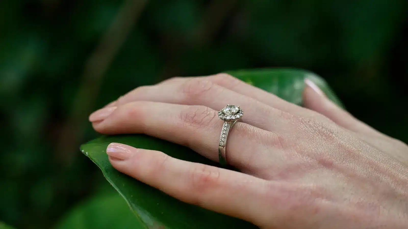 Bague halo entourage de diamants